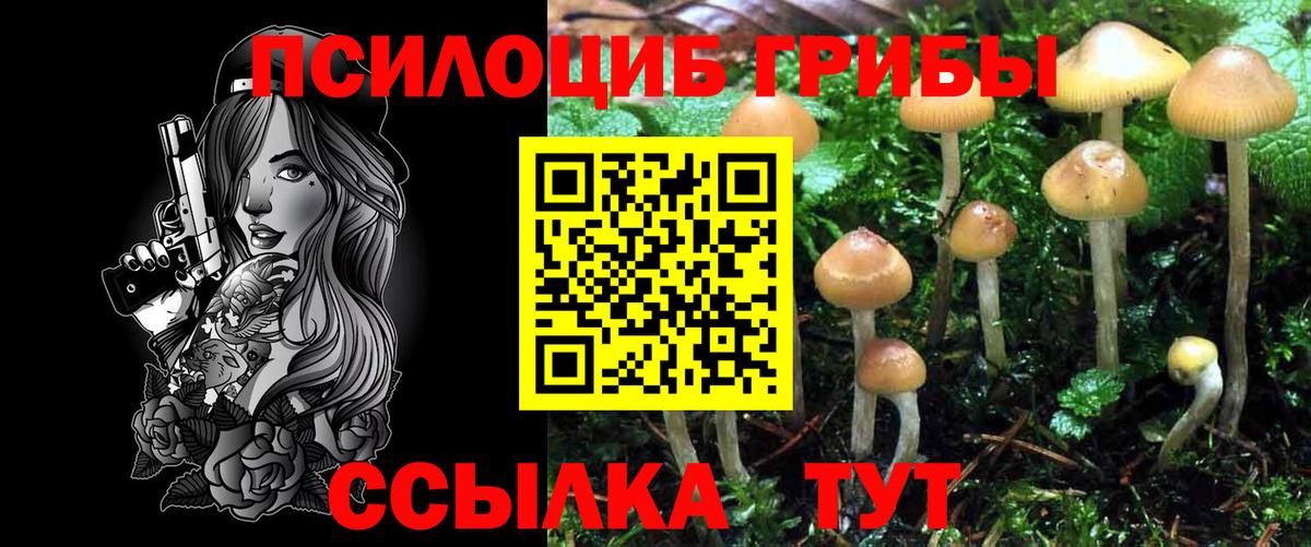 Псилоцибиновые грибы мицелий Реутов