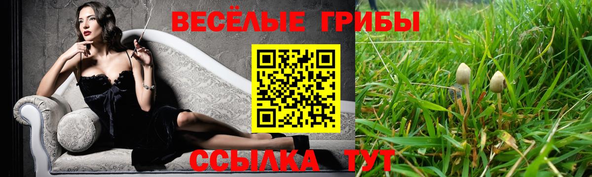 Псилоцибиновые грибы MAGIC MUSHROOMS  Вход с VPN  Реутов  Галлюциногенные грибы Cubensis 